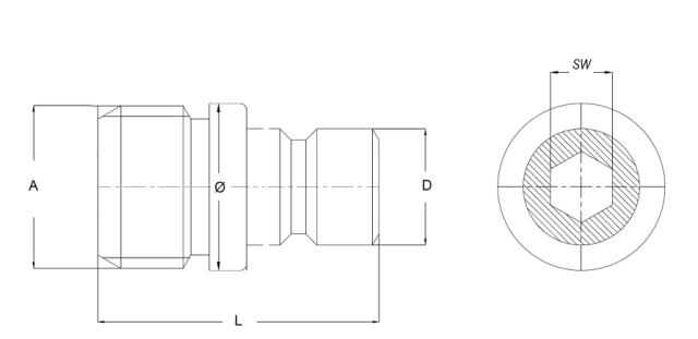 Male Plug with internal Hex