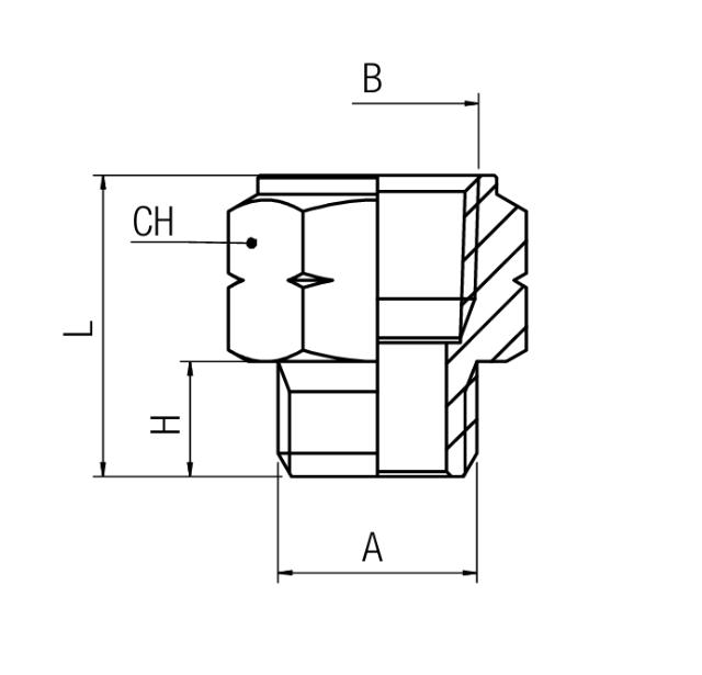 Adaptor Nipple NPT - BSPP