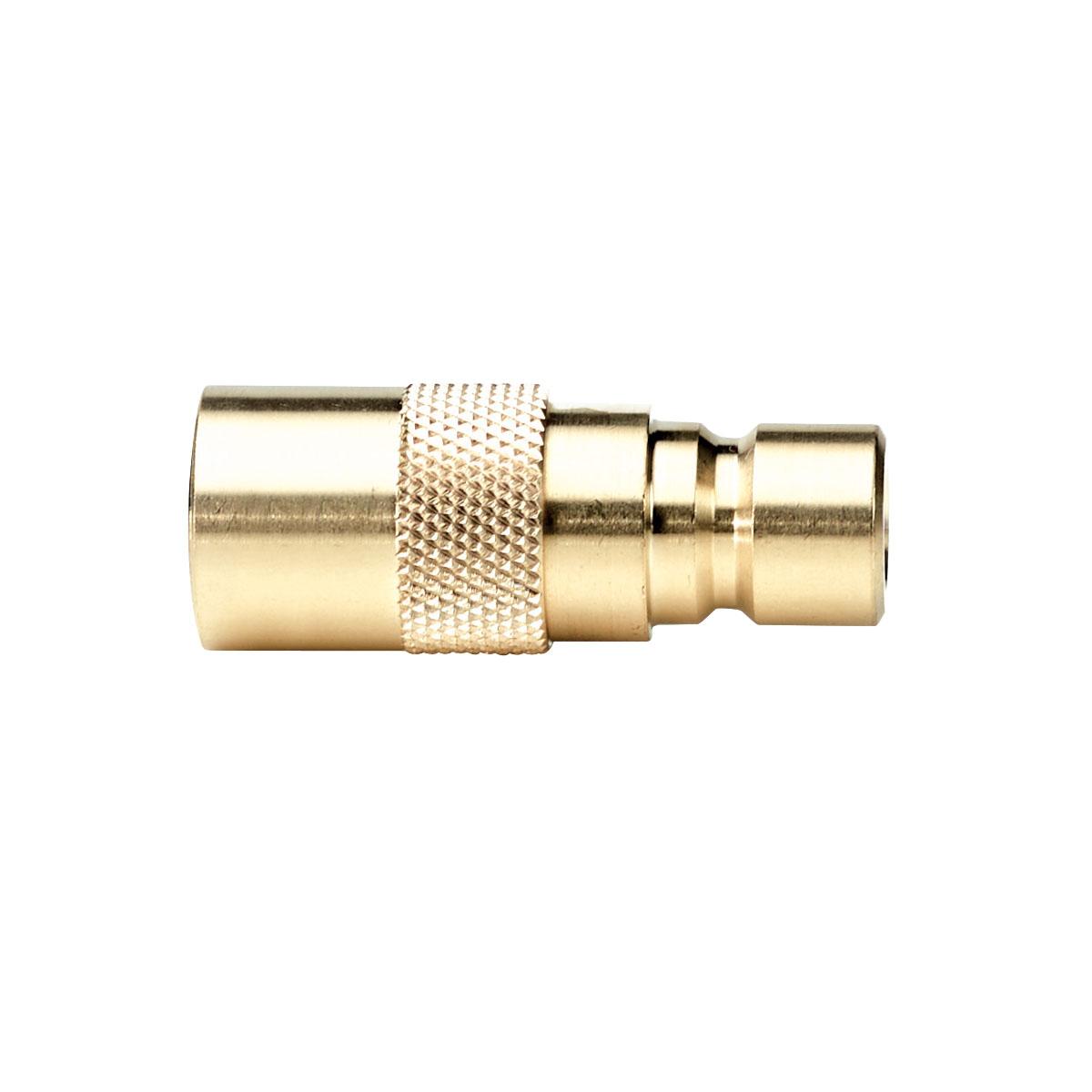 Coupling with plug